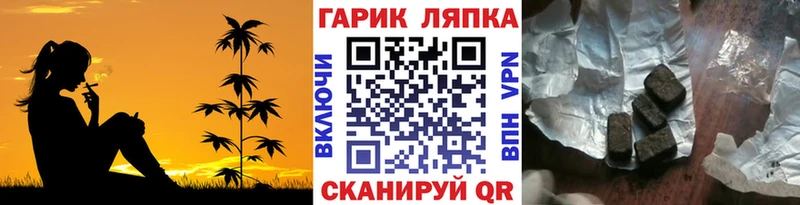 ГАШ Ice-O-Lator  купить   Кизел 