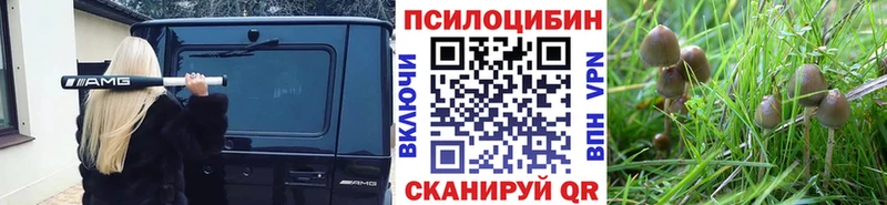 гидра зеркало Кизел Псилоцибиновые грибы мухоморы